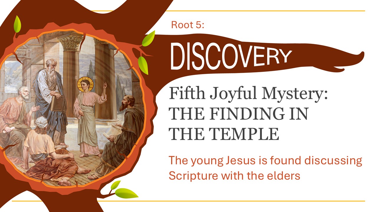 Young Jesus in the Temple representing Discovery and learning.