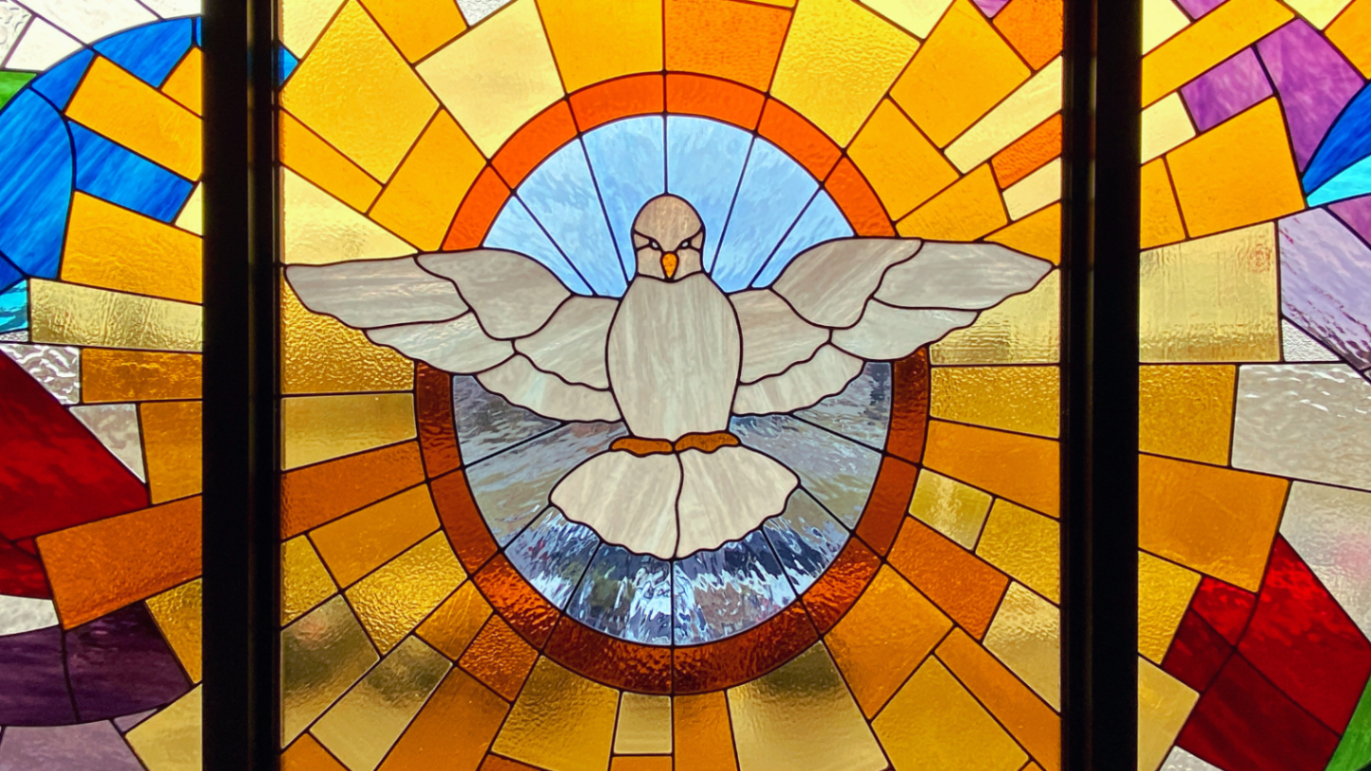 Image of a peace dove located in the chapel of Lumen Christi Catholic Education Centre. The peace dove is a globally recognized symbol of peace,