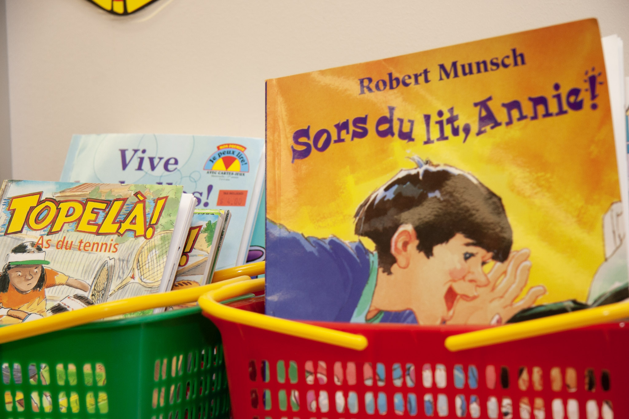 Assortment of books with French titles