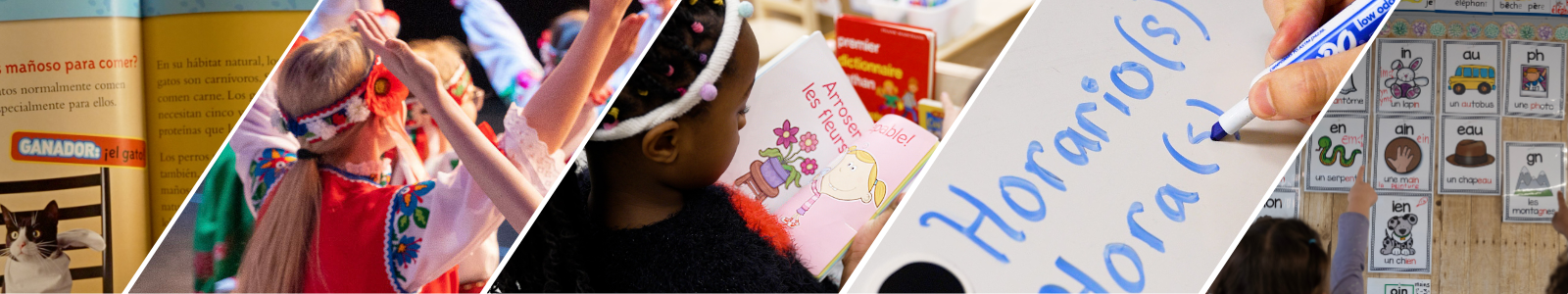 Language Learning Myths Misconceptions 1600 x 300 px 