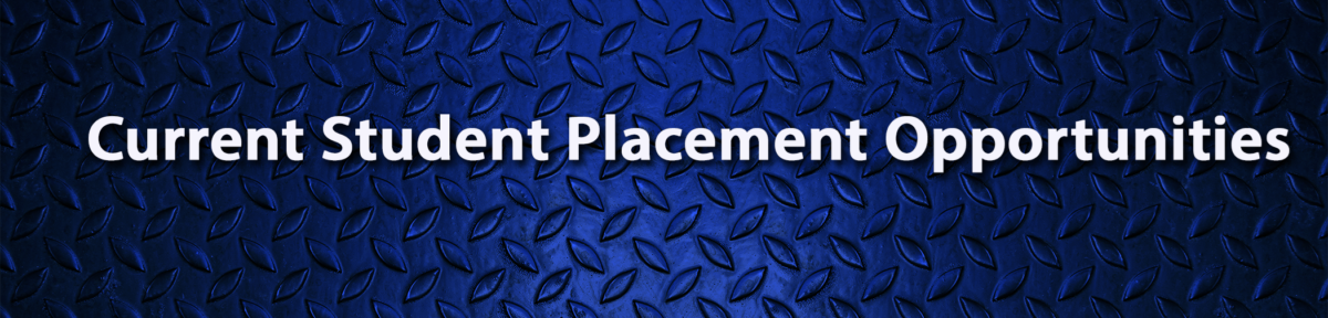 23652-Placement-banner-wecompress.com-1-1200x288.png